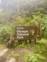 Olympic NP