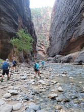 Zion - The Narrows